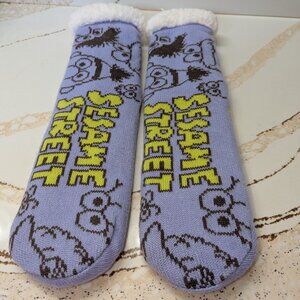 Sesame Street thick, warm socks. NWOT Bert and Ernie, non-slip grippers.